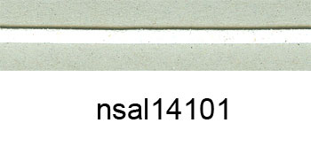 nsal14101