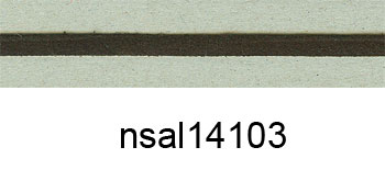 nsal14103