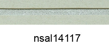 nsal14117